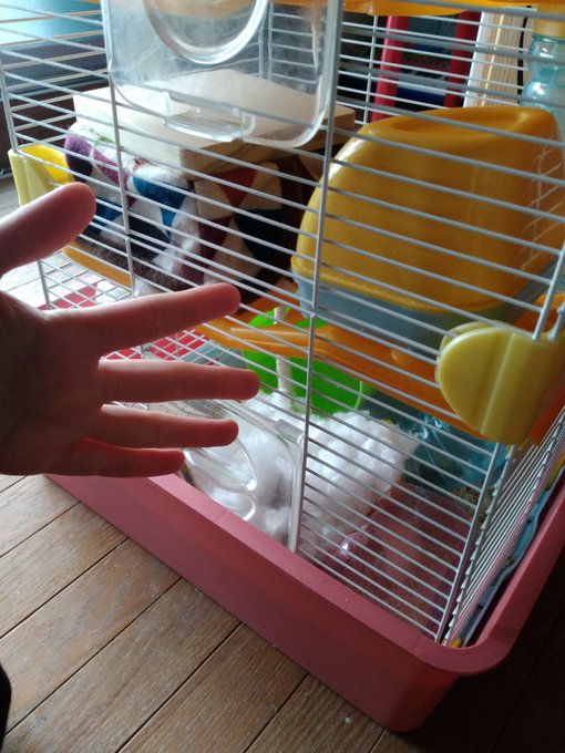 Twitterのコスプレ画像52