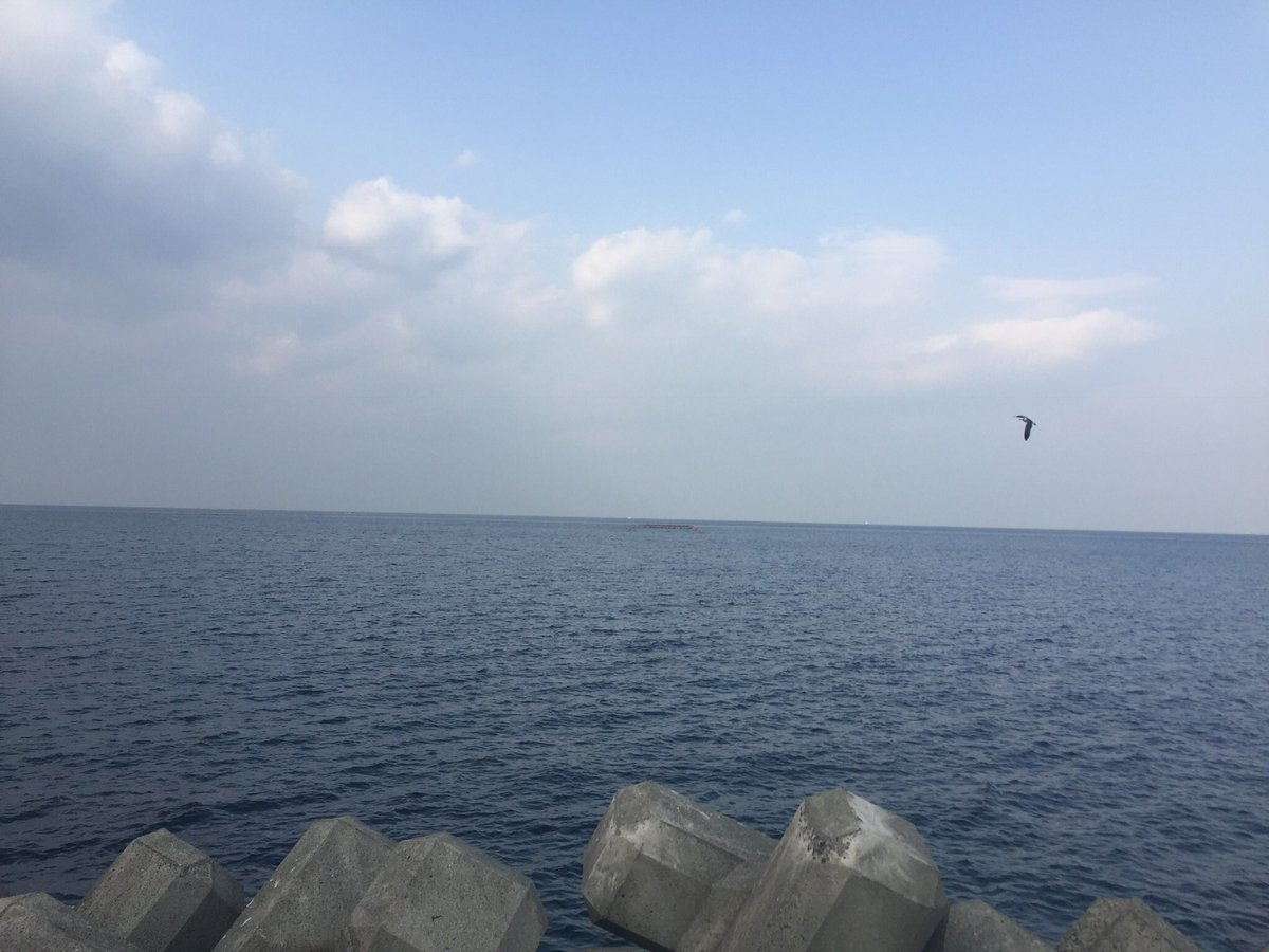 寒い。
海があるってわかってると、とりあえず水際で見たくなるのは何故だろう？