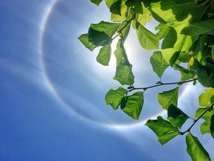 JotaceDP's tweet photo. Halo solar en Santiago de Chile. Espectacular efecto que se produce por la presencia de partículas de hielo en las capas altas de la atmósfera. Una sorpresa más en el verano austral. https://t.co/7B9aH4wnL7