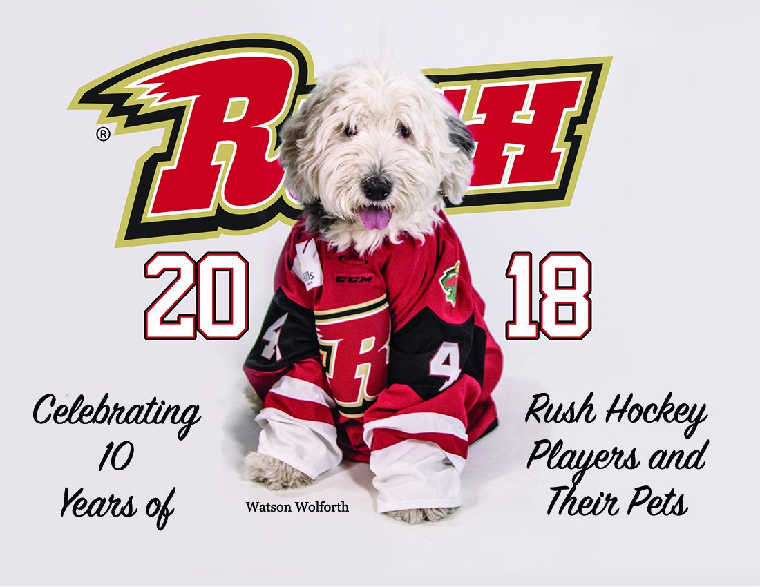 Rapid City Rush tweet media