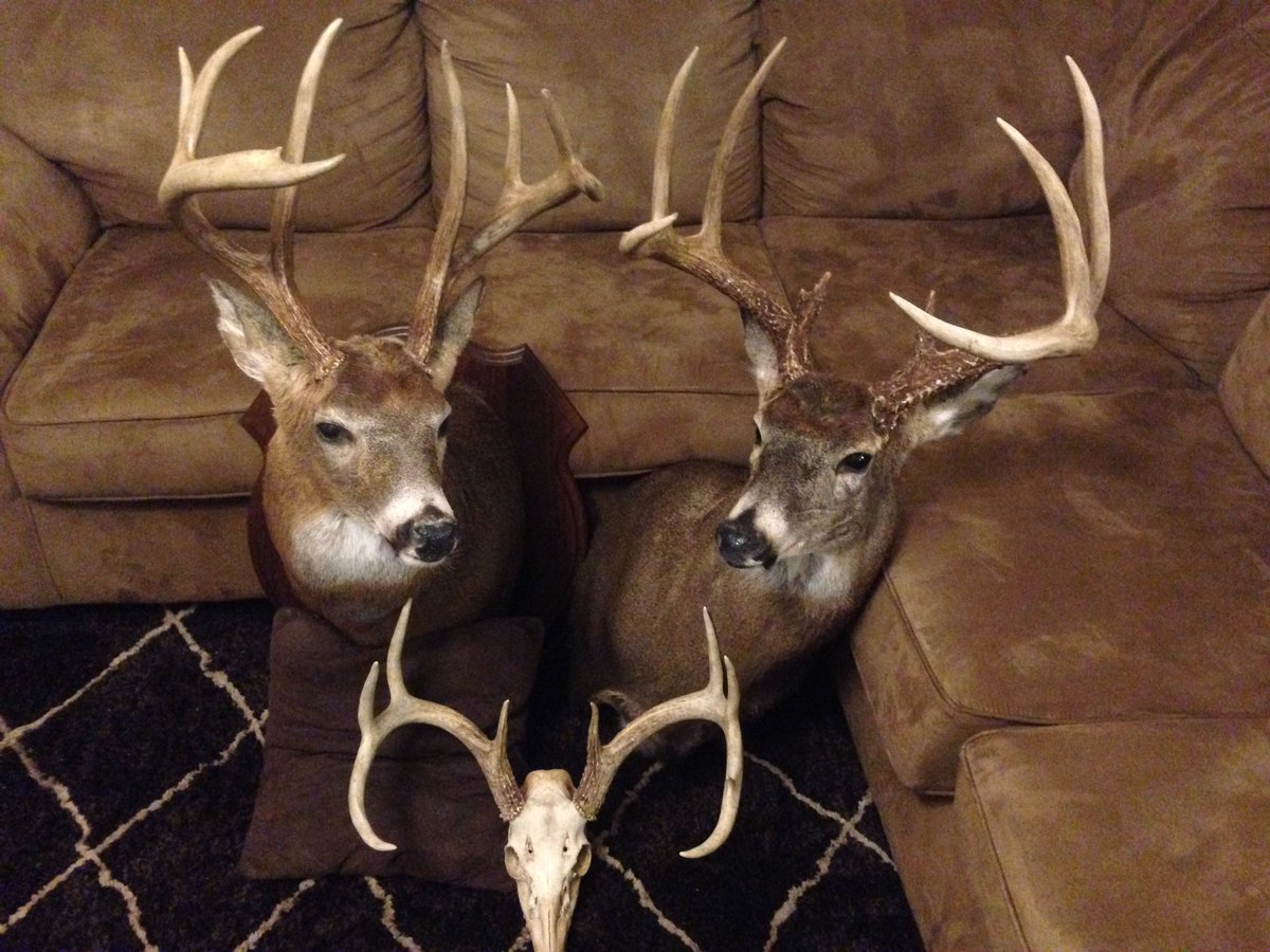 Markins33's tweet photo. About to be added on the wall with the others https://t.co/hDoMOp0fSG