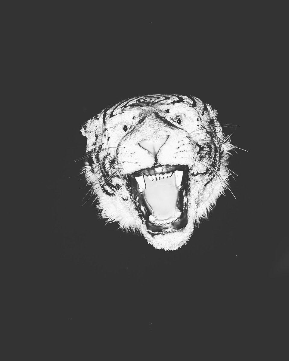 THANK YOU BRIGHTON || SEE YOU NEXT YEAR

LOVE TO YOU ALL XX