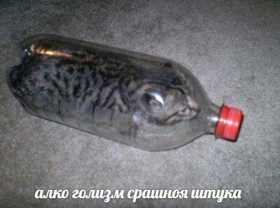 Гуд морнинг твиттор
