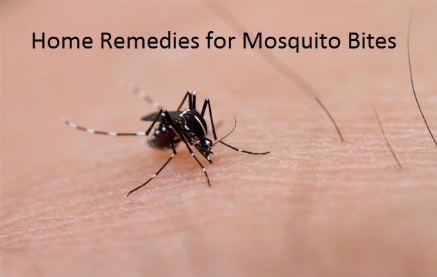 LiveALittleLong's tweet photo. #Mosquitoes in your bedroom are the most embarrassing thing. That irritating sound at the time of sleep may sometimes affect your sleep and leaves you irritated. Mosquitoes cause some severe damage like #dengue, malaria. To prevent from Mosquitoes https://t.co/V2VRpzTzwY https://t.co/jWbHsVRiI5