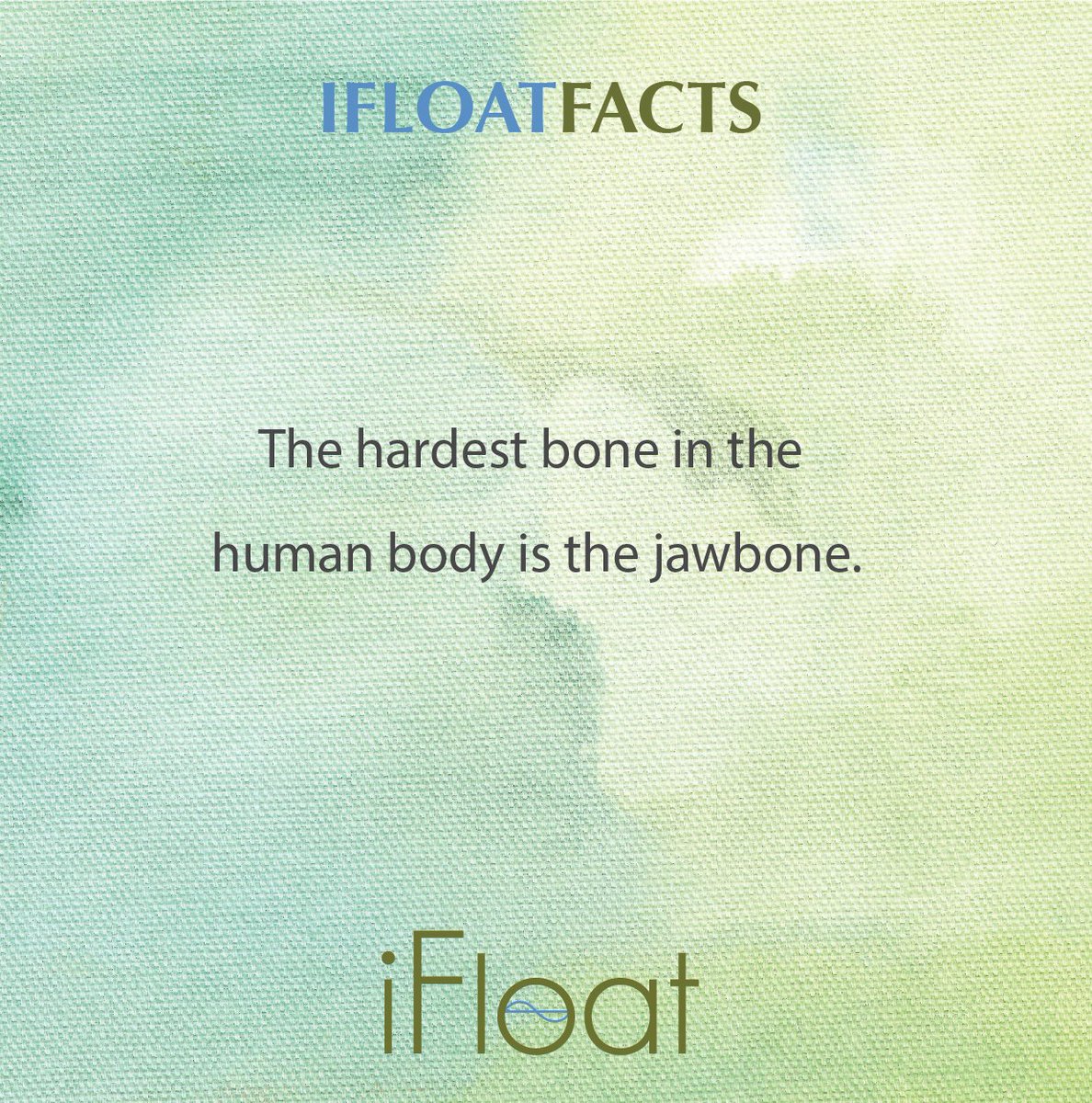 Amazing! 😮
#facts #funfacts #DidYouKnow #NowYouKnow #health  #floattherapy #floating #float #floatspa #relax #recovery #wellness  #therapy #life #lovelife #spa #epsomsalt #zen #balance #zenfloat  #healing #menshealth #womenshealth #relaxing #musclerecovery
