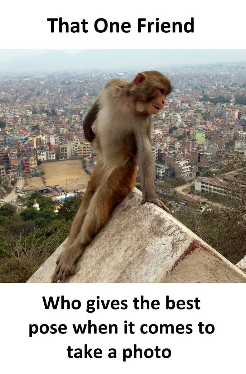 adireddyfantasy's tweet image. #funtimes #FuntimeTips 

#Dream11