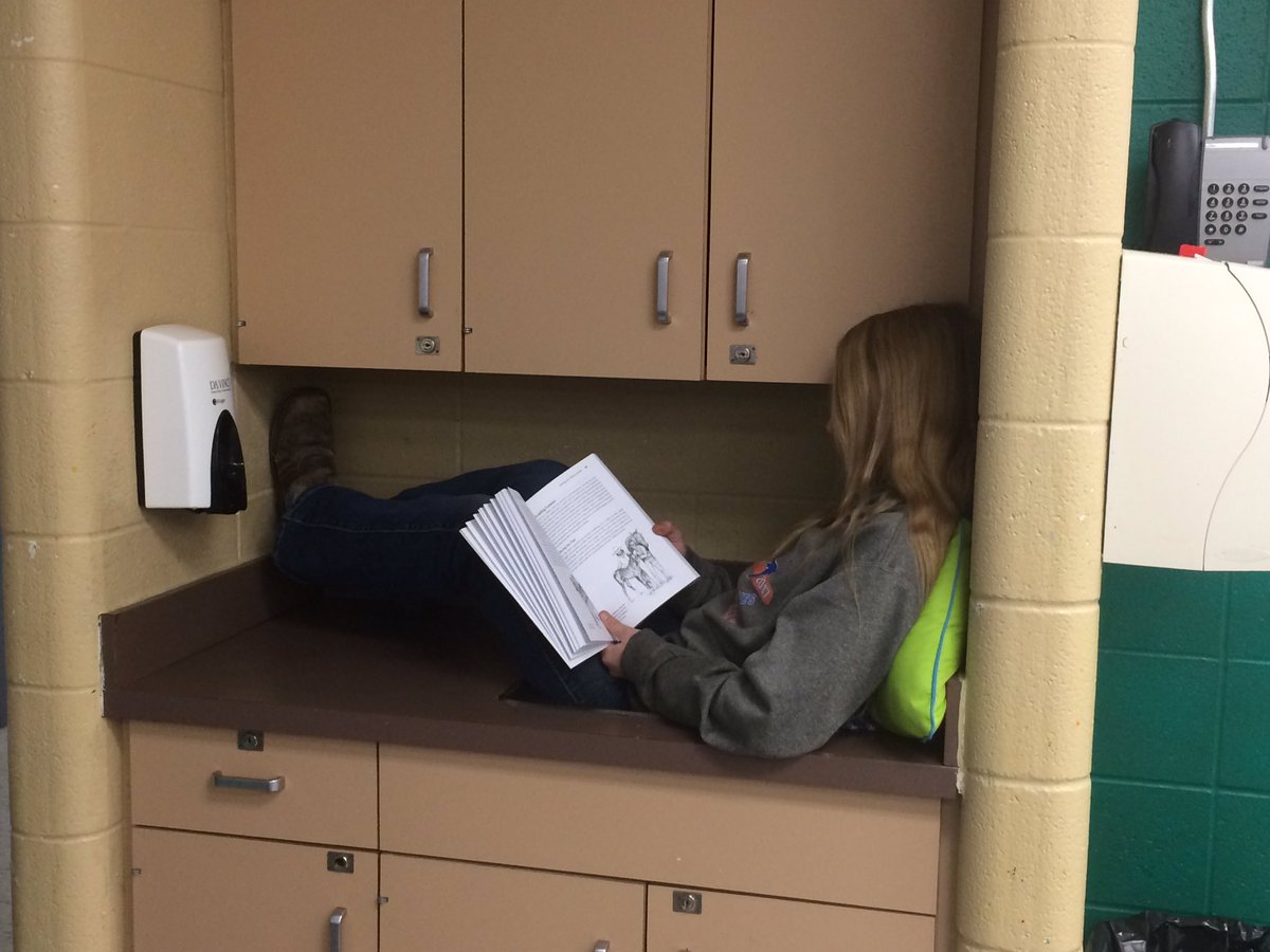 charlee_mapps's tweet photo. Working on our reading stamina today in our 3/4/5/6 #Literacy groups. They read for a solid 45 minutes! And yes, that kid's in the sink. #whateverittakes #comfy #csd71 #bvalleyschool #reading https://t.co/hZicQ5GnI5