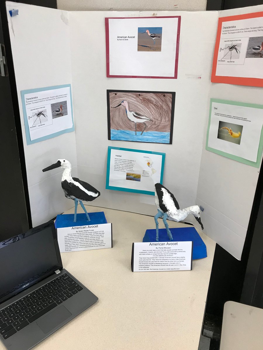 vongerer's tweet photo. Students had a blast sharing their work at our Bird Expedition Showcase! @RosemaryCUSD #cusdrockstar @ELeducation https://t.co/13IxUI4q87
