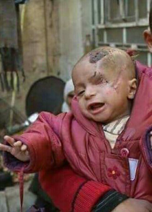 View image on Twitter