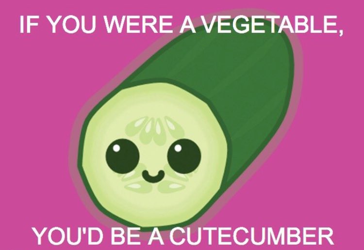 Respectful Memes (@respectfulmemes) on Twitter photo 