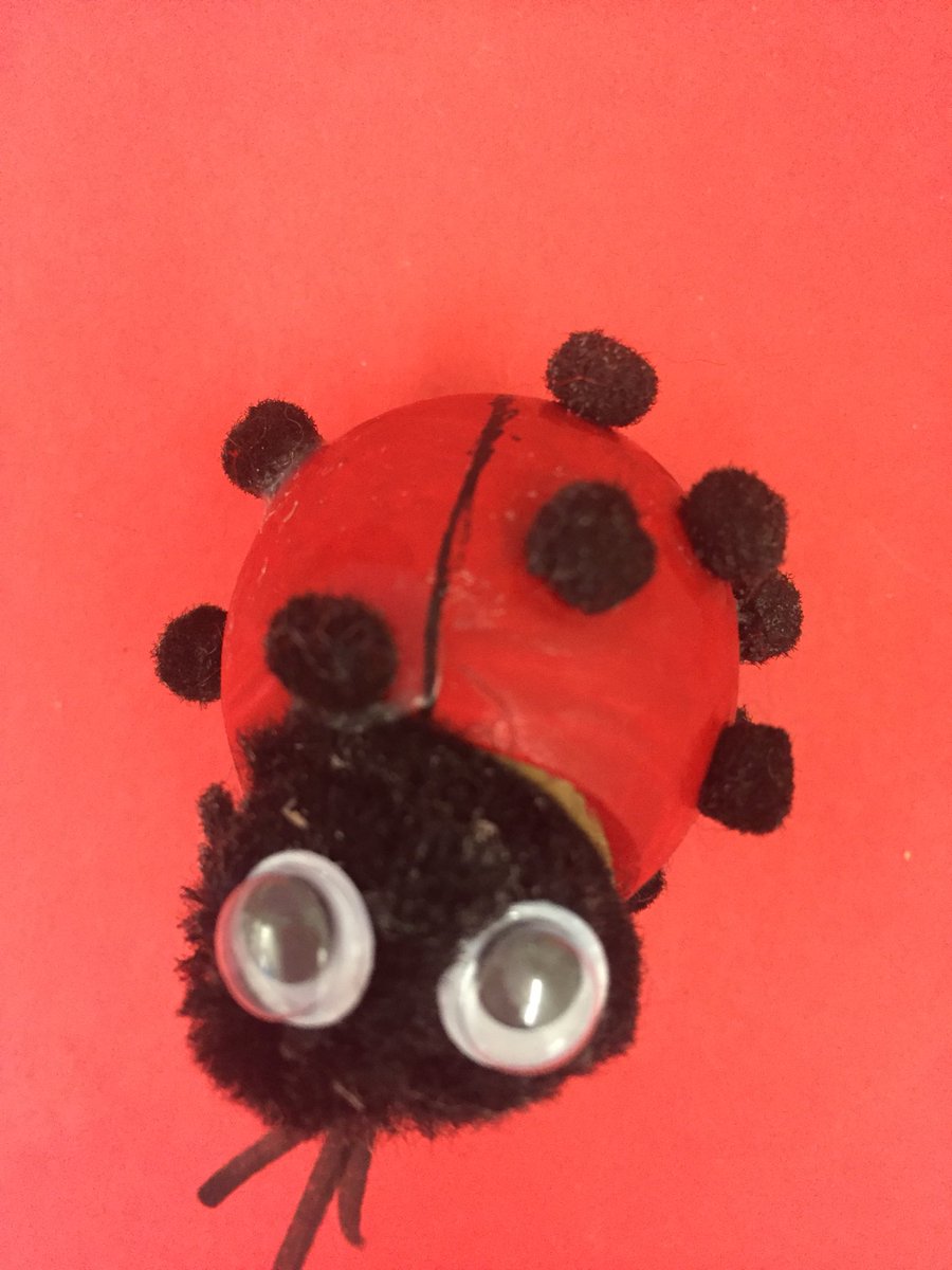 osalvas's tweet photo. Great finds today at #LEcoleBilingue ‘s Circle Craft! @metowe #wearerafikis @WEMovement #vsblearns #vancouver #div2leb https://t.co/rhthaZFf9J