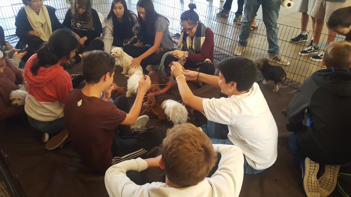 smusd_hs's tweet photo. A PASSEL OF PUPPY PALS TO DE-STRESS B4 THE BIG TEST! #finalswegotthis #Titans #SMHS https://t.co/C78lEtFaJf