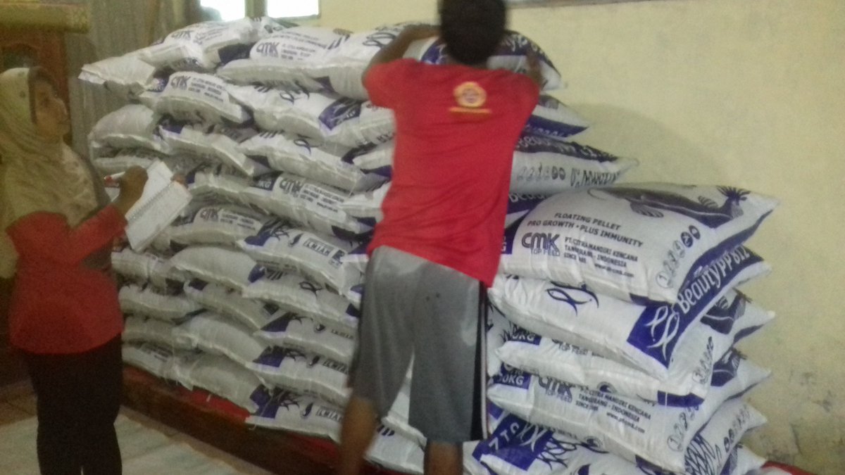 Riza Rua Jayani tweet media