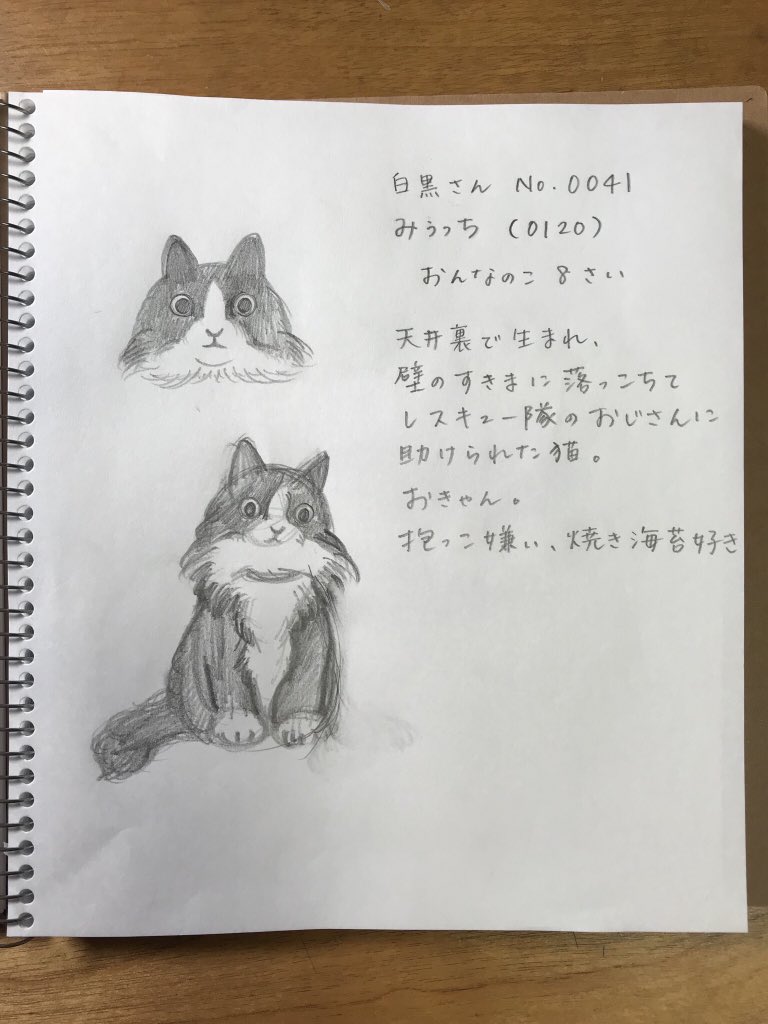 みぅっちは、天井裏出身のせいか、吐くときは高いところからなんだって。家族はいつも大パニック… 