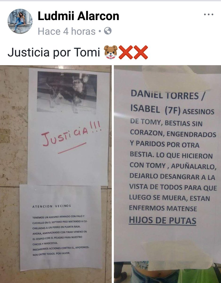 2012Adas's tweet photo. LOS ASESINOS VIVEN EN CALLAO 2112 TORRE 11 PISO 7 DEPTO F, ESTO ES VILLA MADERO ENTRE COLECTORA RICHIERI Y ESPAÑA. @matildablanco @MariaArecesok @candetinelli @GrimiLea @todonoticias ya esta hecha la denuncia. Ahora escrache social!!! https://t.co/YU493J9FMa