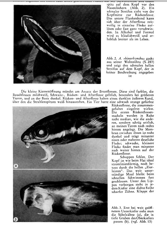 Uživatel Peter Hundt na Twitteru: u201eJust found this gem. Figures 