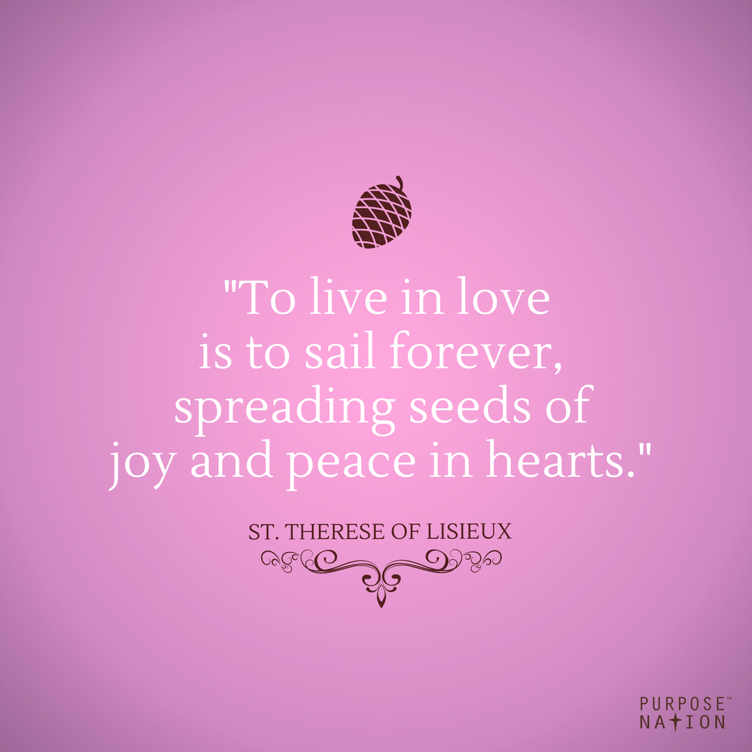 purposenation's tweet photo. Happy #3rdWeekofAdvent! Like amazing #pinecones, we can open up to #spread the seeds of the #GoodNews of #Jesus. #God sparks a fire in us to act...even if it makes us uneasy. When we #TrustinHim, we can share the #love of #Christ to others! https://t.co/ektSKQzjfJ #science #joy https://t.co/EylKiSVBSX