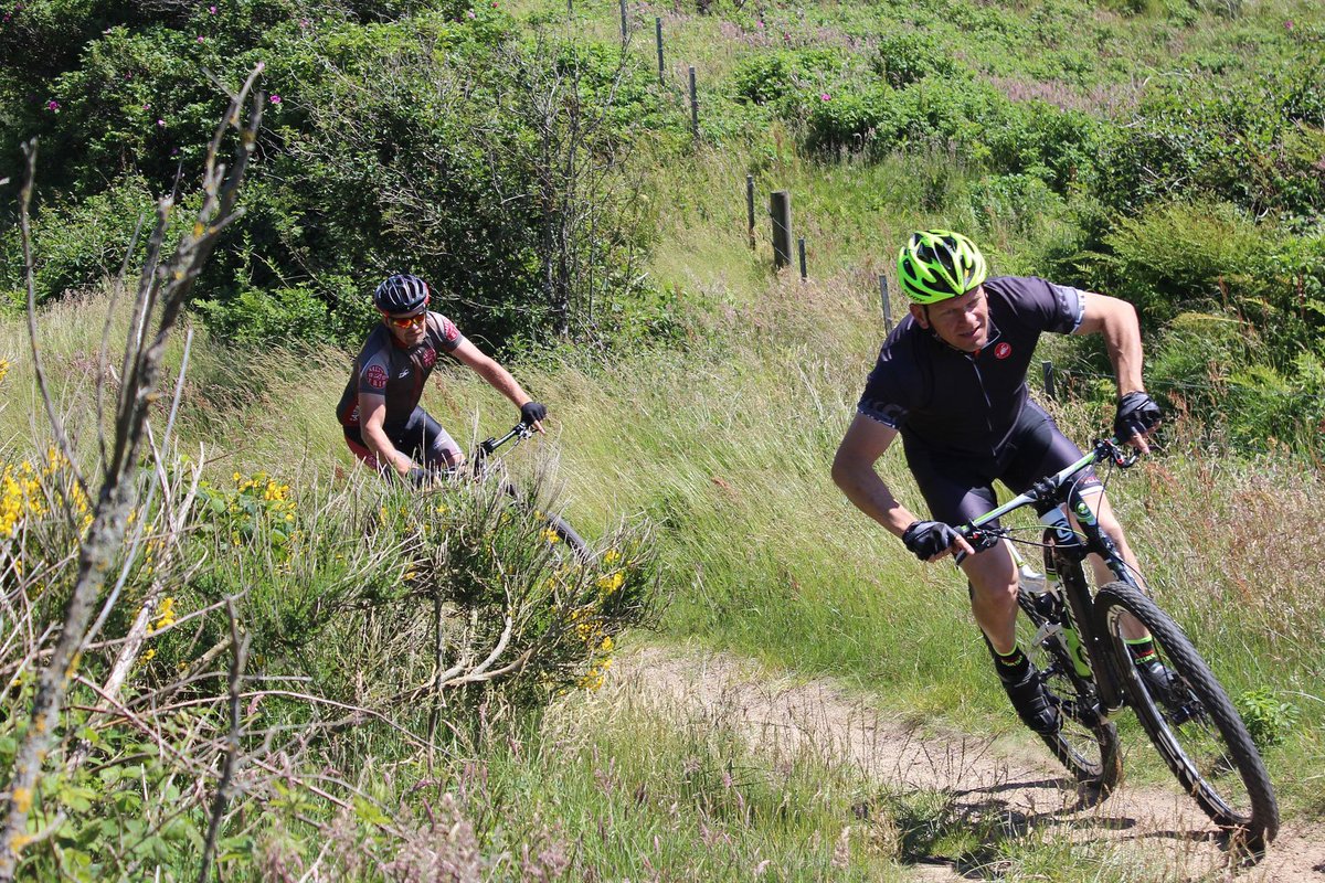 snapyeti tweet media