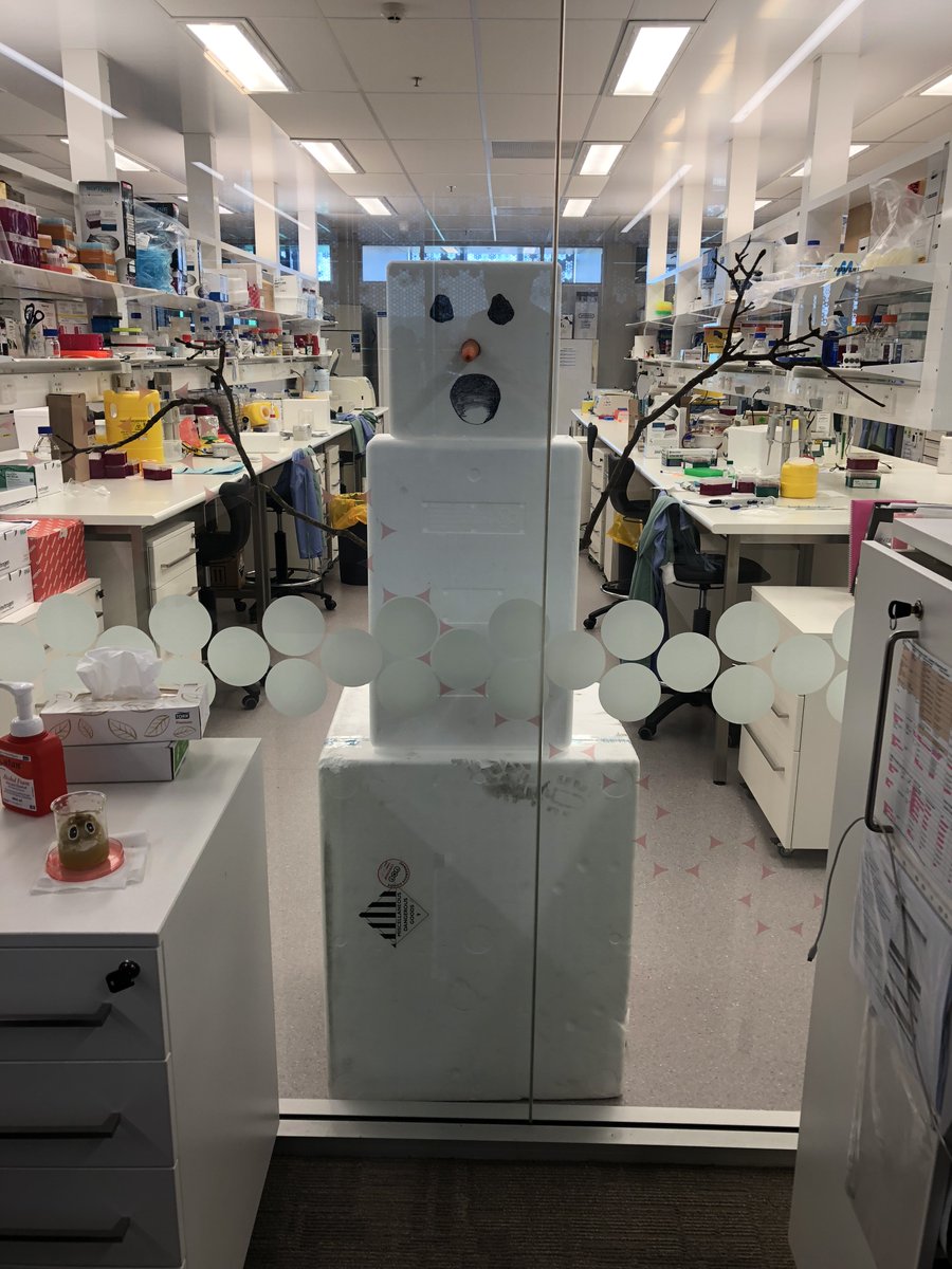 SewerynOz's tweet photo. Christmas time in the lab #snowman #labxmas https://t.co/cbDgz3a77a