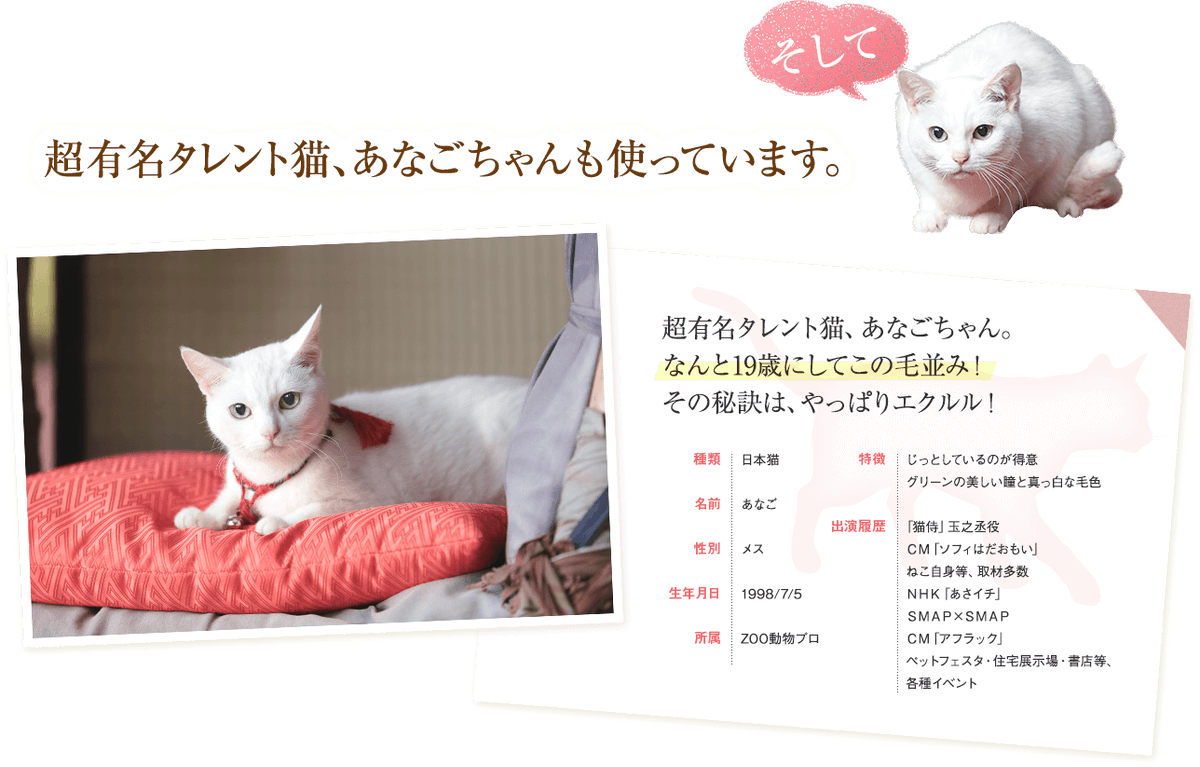 Eclulu Eclulu Official Twitter