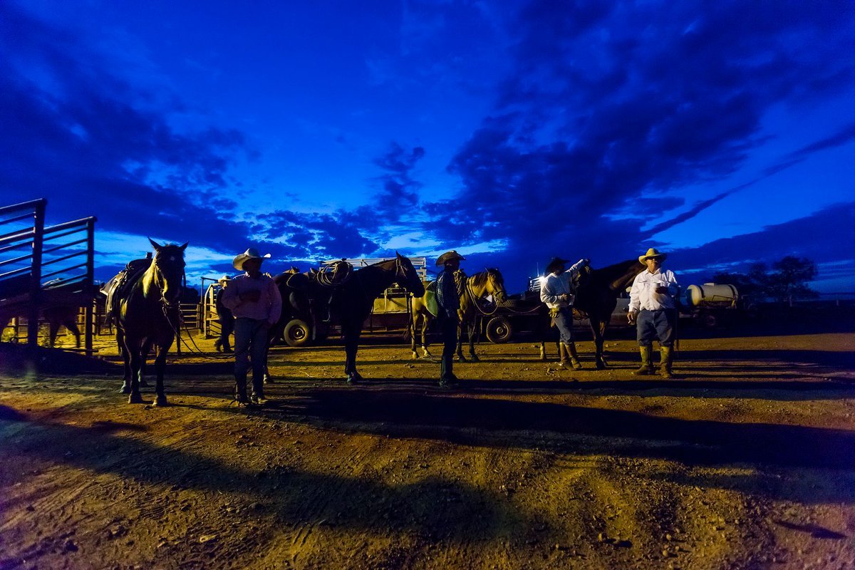 Goodnight, y'all. #texascowboys
