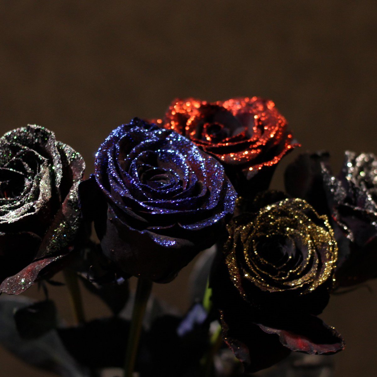 ローズショップ 黒薔薇 黒薔薇販売 T Co Ammywuhavw 0266 28 11 黒薔薇花束 黒薔薇アレンジ 黒薔薇ギフト 黒薔薇全国販売 黒薔薇通販