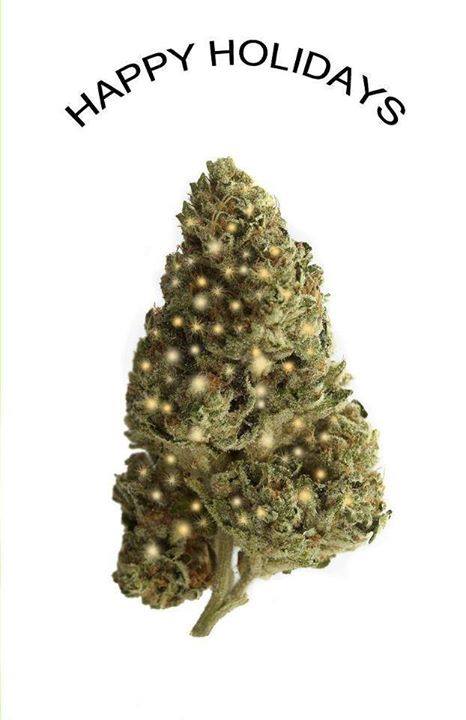 highergtv's tweet photo. We got the office tree up! #ChirstmasTree #Christmas #Trees #LegalizeIt #HolidaysAreComing https://t.co/bPdHOXu1ph