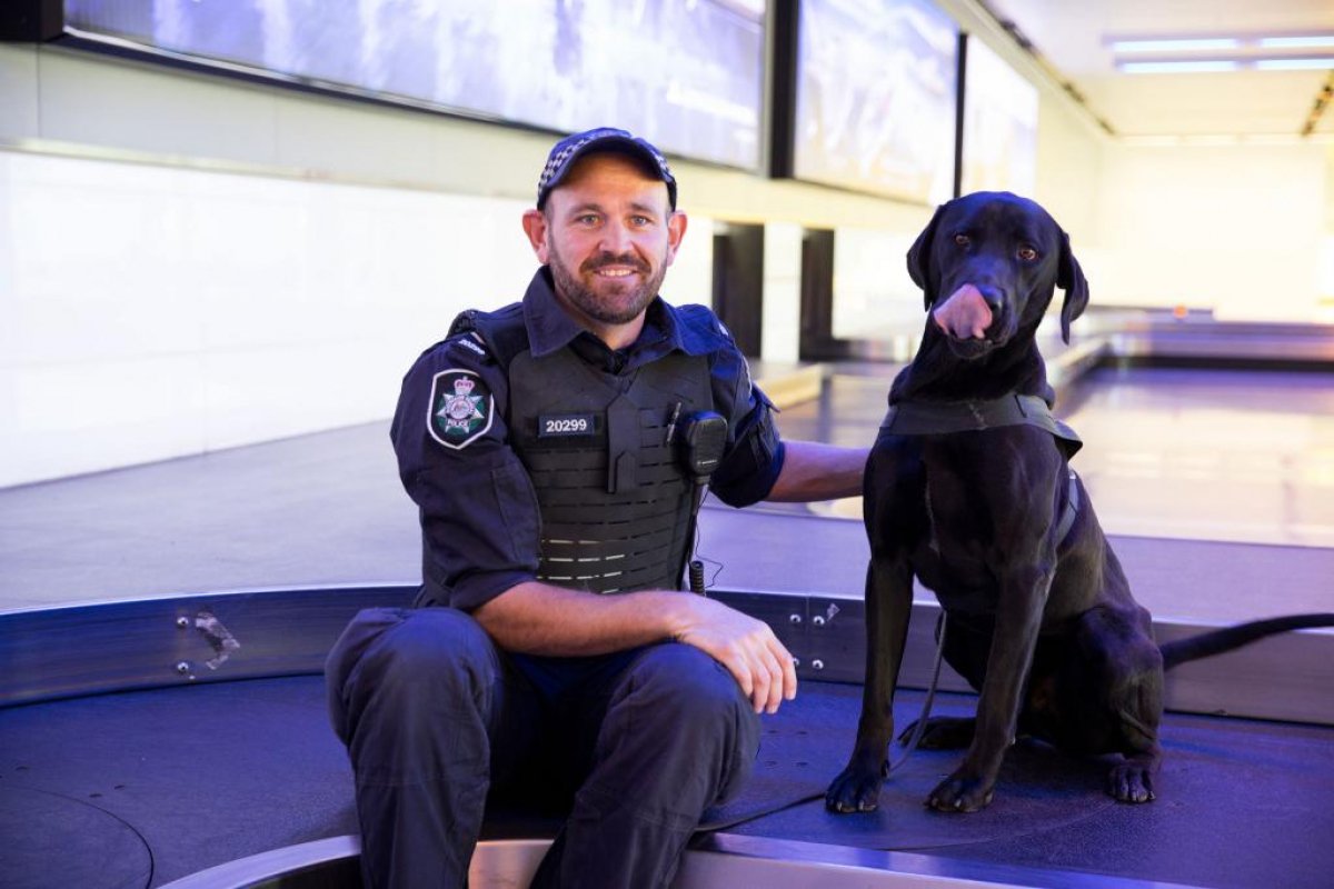 Mathew and Leo the Labrador are keeping you safe by sniffing out illegal currency & drugs coming into Australia #FPWhitePaper #KeepingAustraliansSafe

fpwhitepaper.gov.au/foreign-policy…