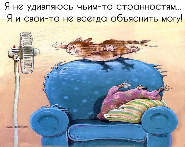Вот так и живем! (@jivemvot) on Twitter photo 