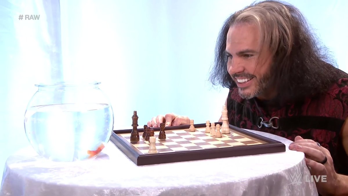 Vylash (Young and Bitter) on Twitter: "Matt Hardy playing chess against a  goldfish is the kind of wrestling content I live for… "