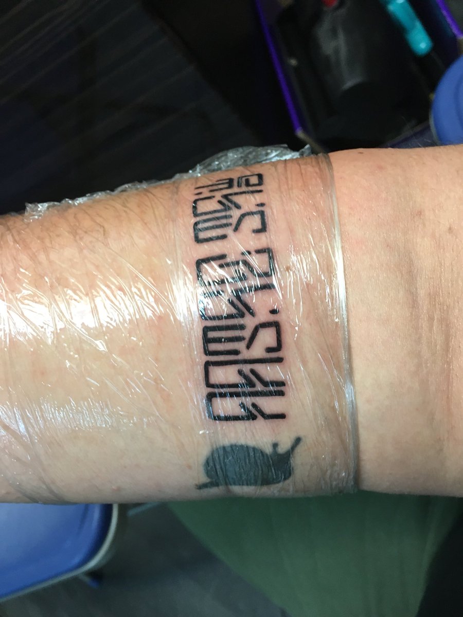 snailmusic's tweet image. Omfg im in love #theshell