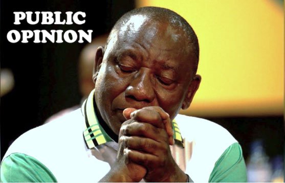 bent_o2s's tweet photo. @The Future of #ANC and the #Black’s Interest in #SA after #Ramaphosa’s Victory

https://t.co/gTsNQCItLU @WeeklyXpose @eNCA @ewnreporter @ANCWomensLeague @Adamitv @MandyWiener @ferialhaffajee @MogaleMaeko @GwedeMantashe1 @Black1stLand1st @BLF_SM @News24 @Julius_S_Malema https://t.co/K9p1jCBmKp
