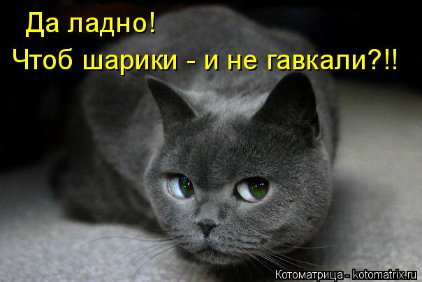 DRe2unaW0AExPlT.jpg:small