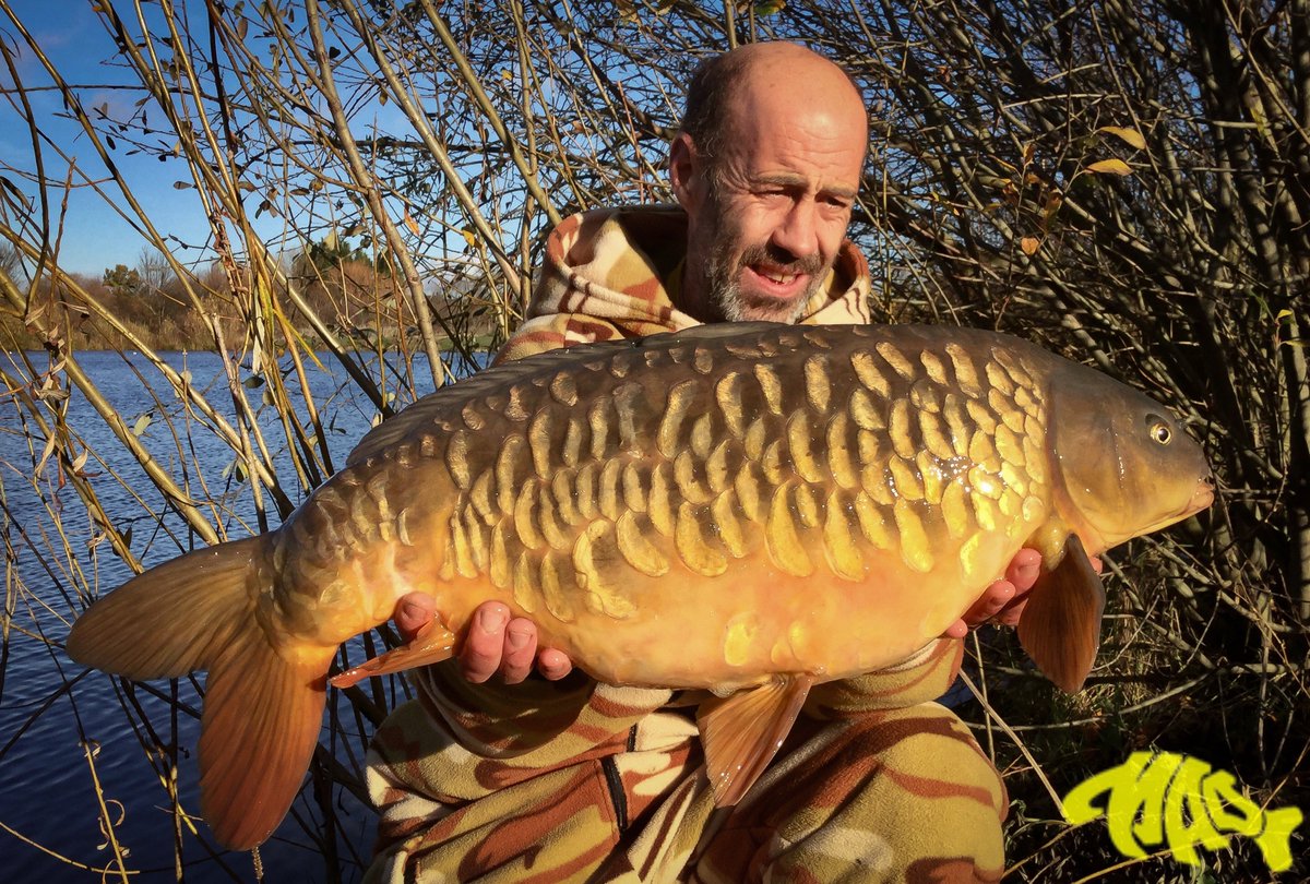 madbaits's tweet photo. Lake bailiff Rich Speck of
Ladywood lakes ,caught this mirror using the Nutz plus fishing 12 mm pop ups on a hinge stiff rig 50 yds to silt in 16 feet of water #PureMadness #NutsPlus #madbaits #totalcarp #carpology #carp #fishing https://t.co/8Y9BcCEBMp