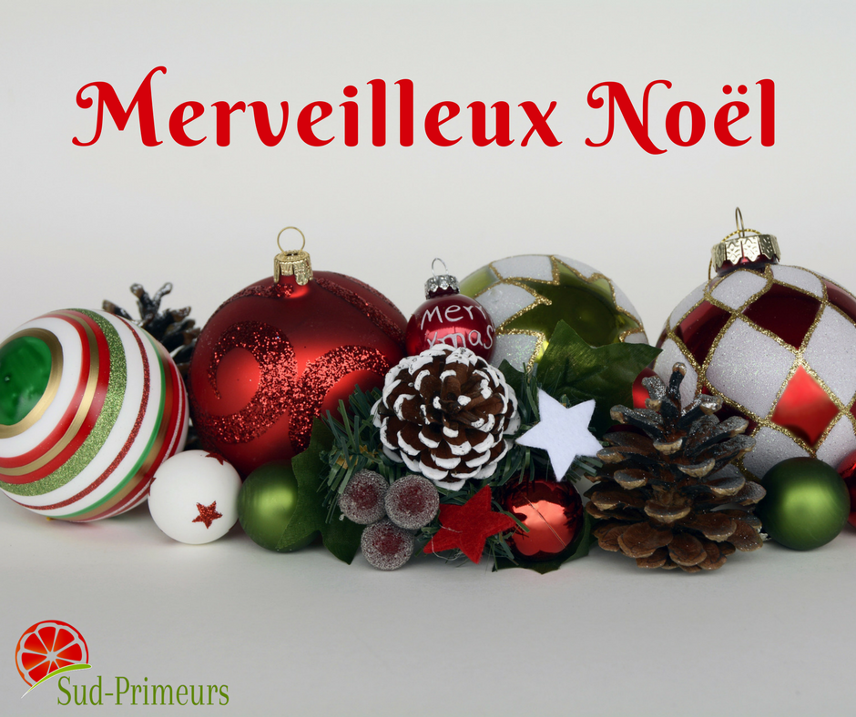 Sud_Primeurs's tweet photo. On vous souhaite un merveilleux Noël 🎅... en espérant que vous avez été sages👼 #xmas2017 #Noel https://t.co/ZEQwvRia8t