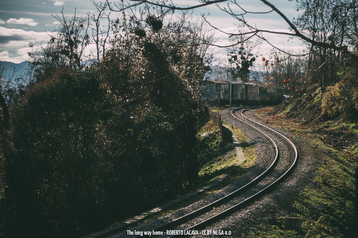 robertolacava's tweet photo. Mercoledì 13 dicembre
A Matera non c'è ancora stazione, 
ma anche qui a Potenza non siamo messi proprio bene con le ferrovie.

#longwayhome #train https://t.co/CSbRnirqLg