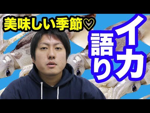 エギング速報 エギング速報 ぱいれーちゅ さんが動画をアップしたようです 魚図鑑 イカ さばき方締め方 エギングは堤防から アオリイカ刺身 アニサキスの危険は 動画は T Co Lcddafg5xh エギング速報 T Co Hrm0mmmofw