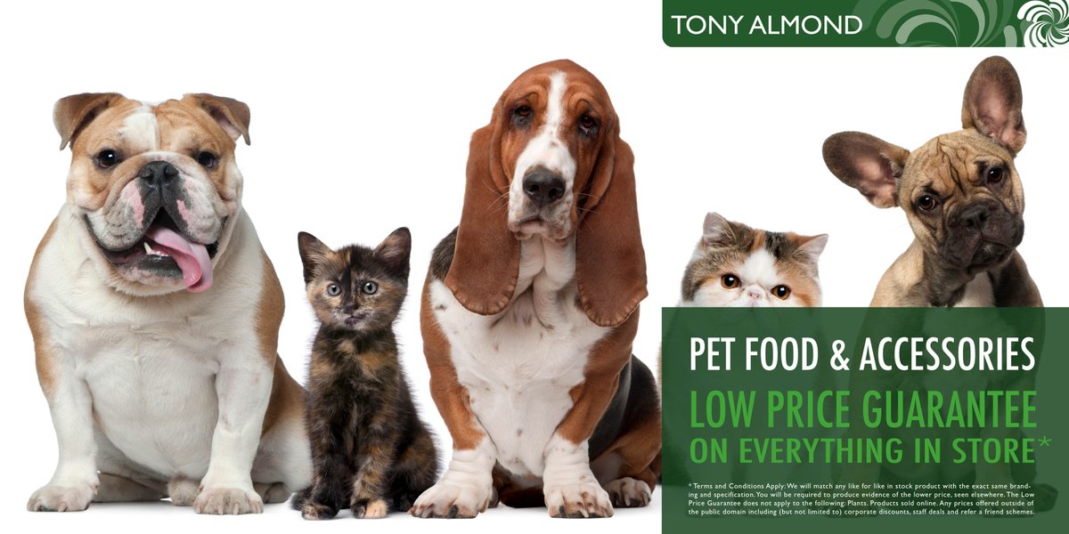 Dogs, they are one of the family! We love seeing them with a grin on their face after you have given it a treat. We have all the treats a dog could want! Bring them down to choose!    🐶