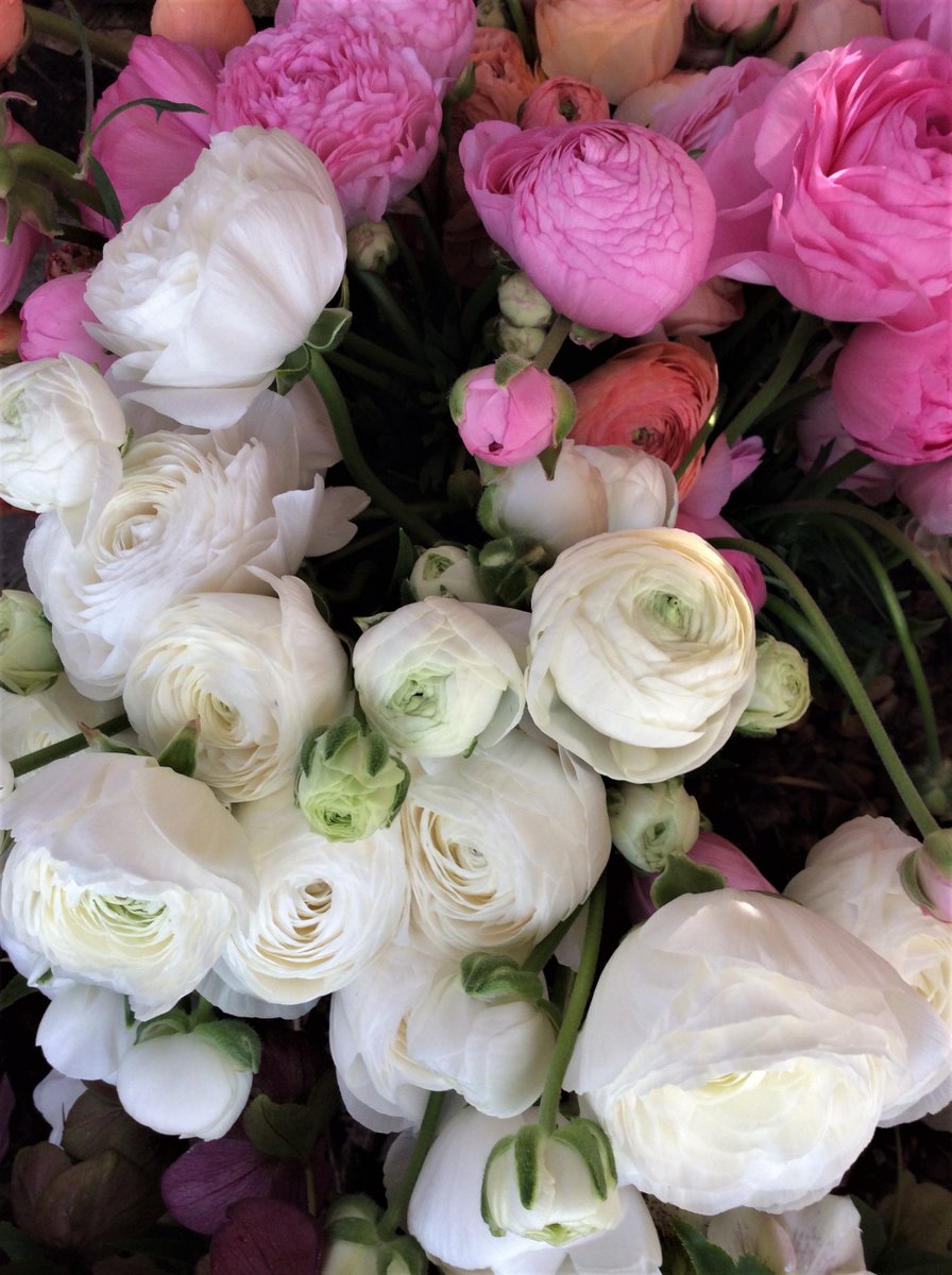 BrambleandYarn's tweet photo. Some changes for 2018...supplying #BucketsofBlooms for your #wedding or #event keep an eye out for website updates in January... #norfolkweddings #countrygardenflowers https://t.co/dLggGkWc3j