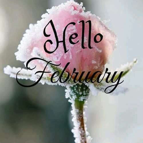 Tranding Feed On Twitter "Hello February Month February