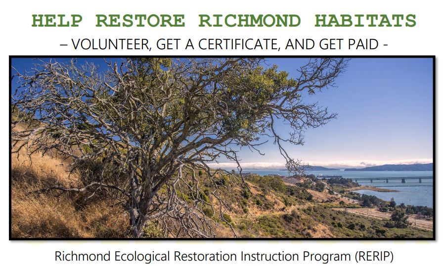 _GoldenHour's tweet photo. Announcing the Richmond Ecological Restoration Instructional Program – RERIP https://t.co/byCE3tQ29x https://t.co/zXS98AlDLK