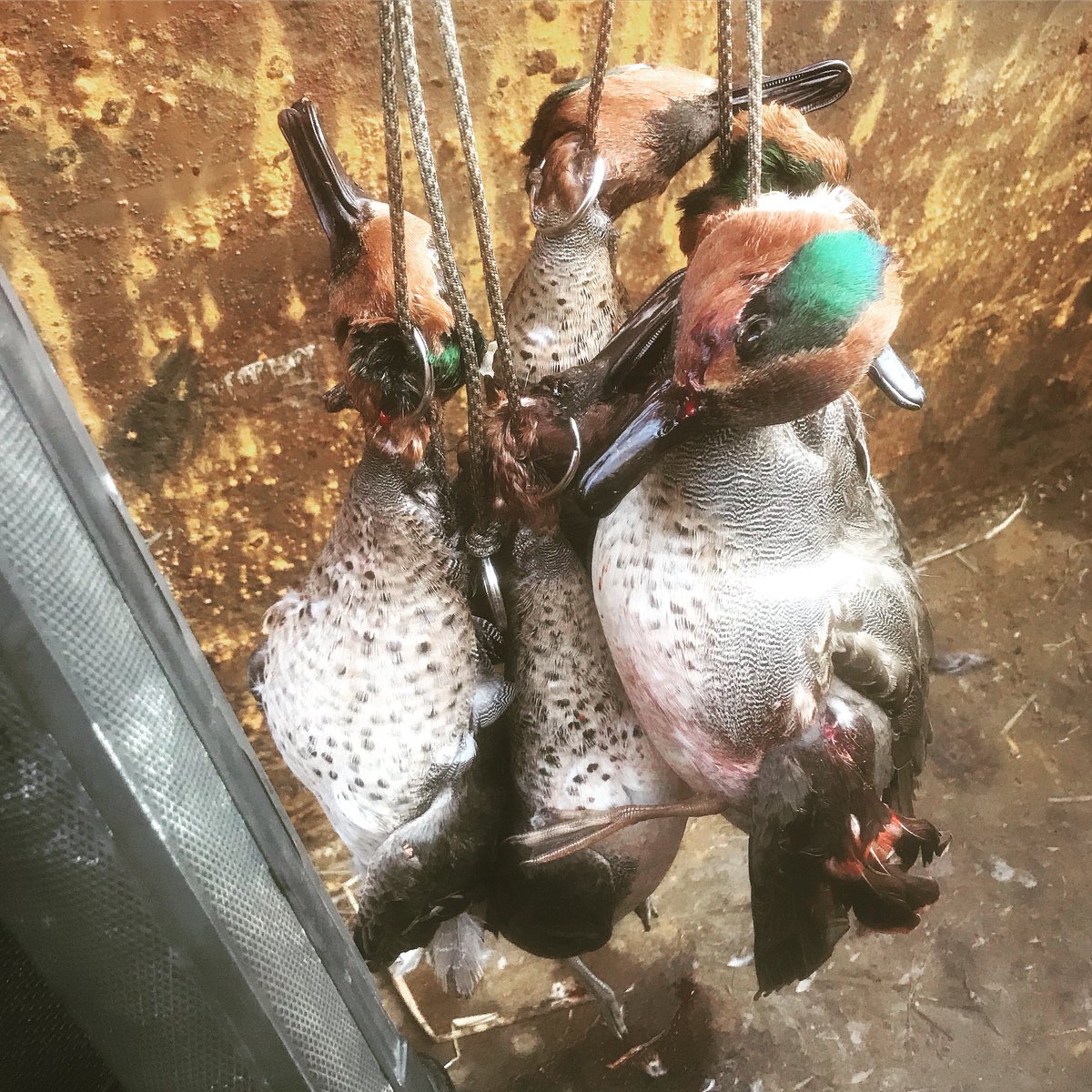 wings_outd's tweet image. Be sure to give us a follow on IG  and FB!! @whistlinwingsoutd