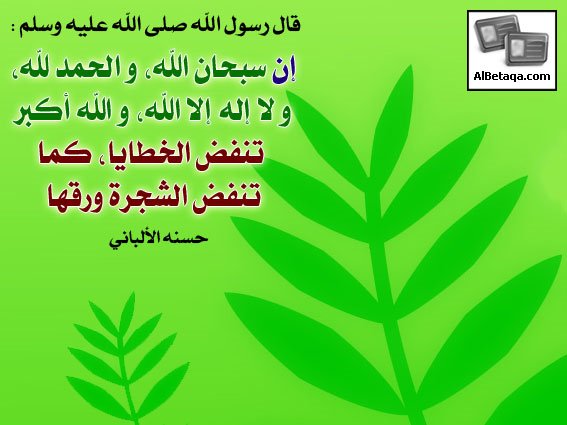 VLabunka's tweet photo. الشخص الذي يتوقع عملا بلا أخطاء سيبقى أبد الدهر بلا عمل .

#درر_الكلام #درر #قران #حكم #حديث #حقيقة #عبر https://t.co/nwBkmBc4ID