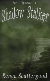ReneeScatts's tweet image. Vote for the #DarkFantasy #Serial #ShadowStalker in the #TCKPublishing Readers' Choice Awards tckpublishing.com/readers-choice… via @TCKPublishing