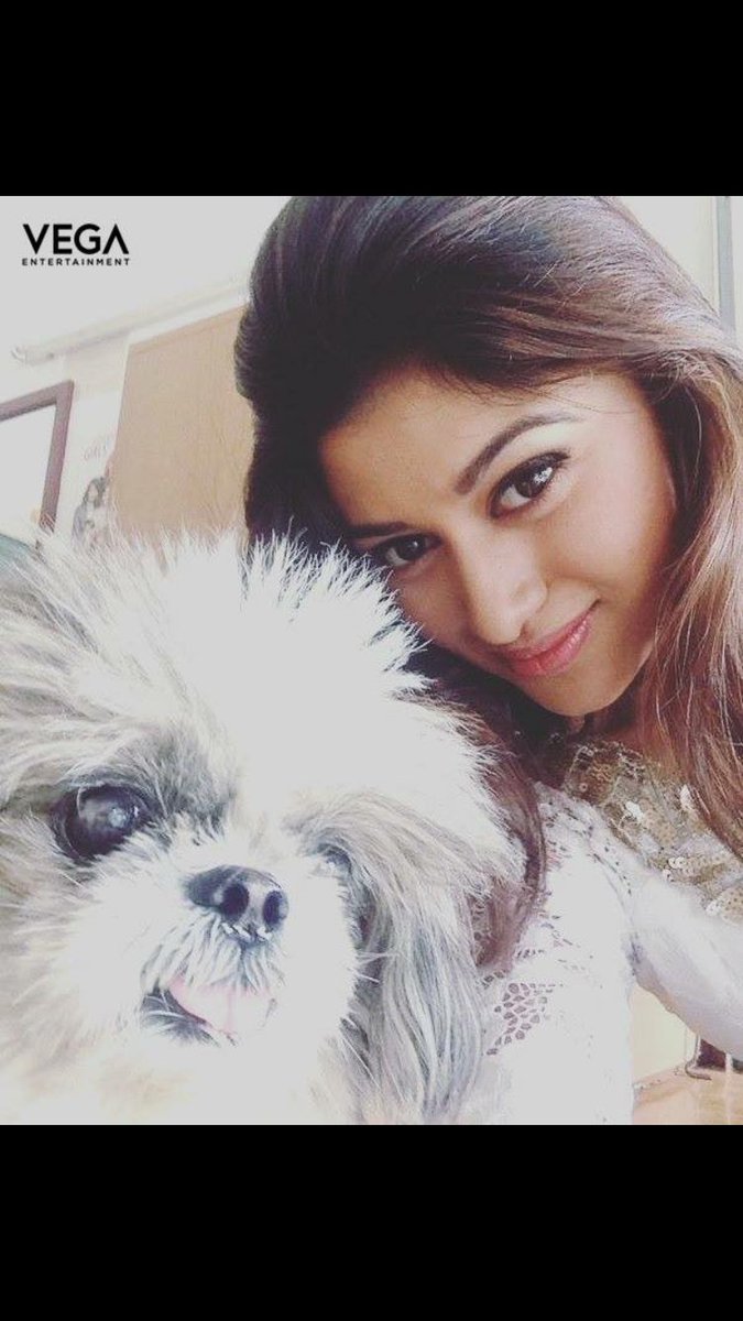 4evaOviya's tweet photo. #oviya #OviyaFamily #OviyaArmy https://t.co/lImNqcfrcH
