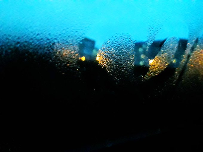 Ты дал понять, что я любима, Ты научил меня любить, Ты подарил заботу, счастье, Ты изменил всю мою жизнь<a href="/tag/govegan"class="tags"><span>#govegan</span></a>