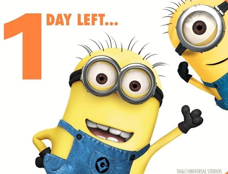 alibamford's tweet photo. @FOTRS_Sheffield it’s the final countdown keep tweeting #CheerForGood https://t.co/Nl3dcZNHXk