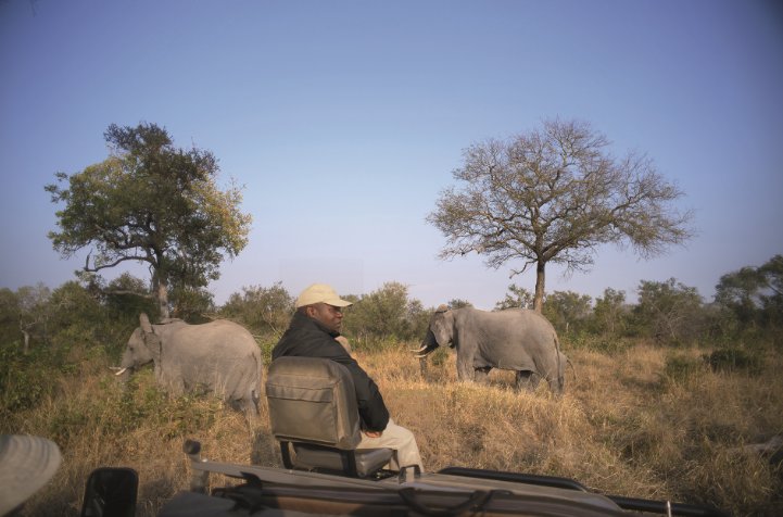 gotosouthafrica's tweet photo. Sometimes all you need is to be out in the bush to get a truly South African experience.  Get to see the Big 5 in their natural environment, while also enjoying the spectacular views: https://t.co/P1YGMStCXM #MeetSouthAfrica https://t.co/UPdkfCda7t