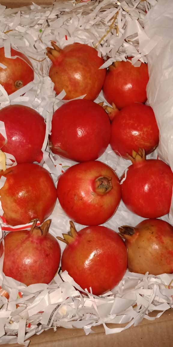 DharaSrinivas's tweet image. Pomegranate supplu from India

linkedin.com/feed/update/ur… P