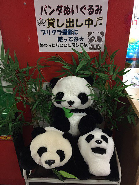 タイトーステーション上野アメ横店 در توییتر プリクラ 昨日より 上野動物園 シャンシャン 公開 只今 プリクラコーナーでは パンダのぬいぐるみ無料貸出中です また 飴ちゃんサービスも実施中ー でもってー プリクラ全台 電子マネーが使えるようになってま タイトーステーション上野アメ横店 در توییتر プリクラ 昨日より 上野動物園 シャンシャン 公開 只今 プリクラコーナーでは パンダのぬいぐるみ無料貸出中です また 飴ちゃんサービスも実施中ー でもってー プリクラ全台 電子マネーが使えるようになってま